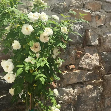 La Casa Di Julie Villa *